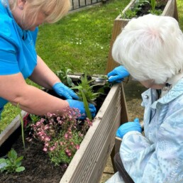 A Yorkshire Carer with a Care Home Resident gardening