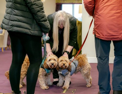 Beach Day Adventures: Cookie and Teddy’s Care Home Visits