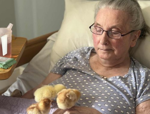 Little Visitors Bring Big Smiles at Whitby Court Care Home