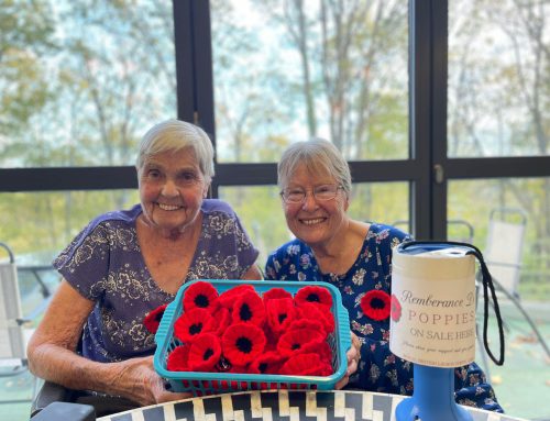 Care Home in Brighouse are Knitting Together For Hope: Bridge House Ladies Raise a Fantastic £161 for the Royal British Legion!