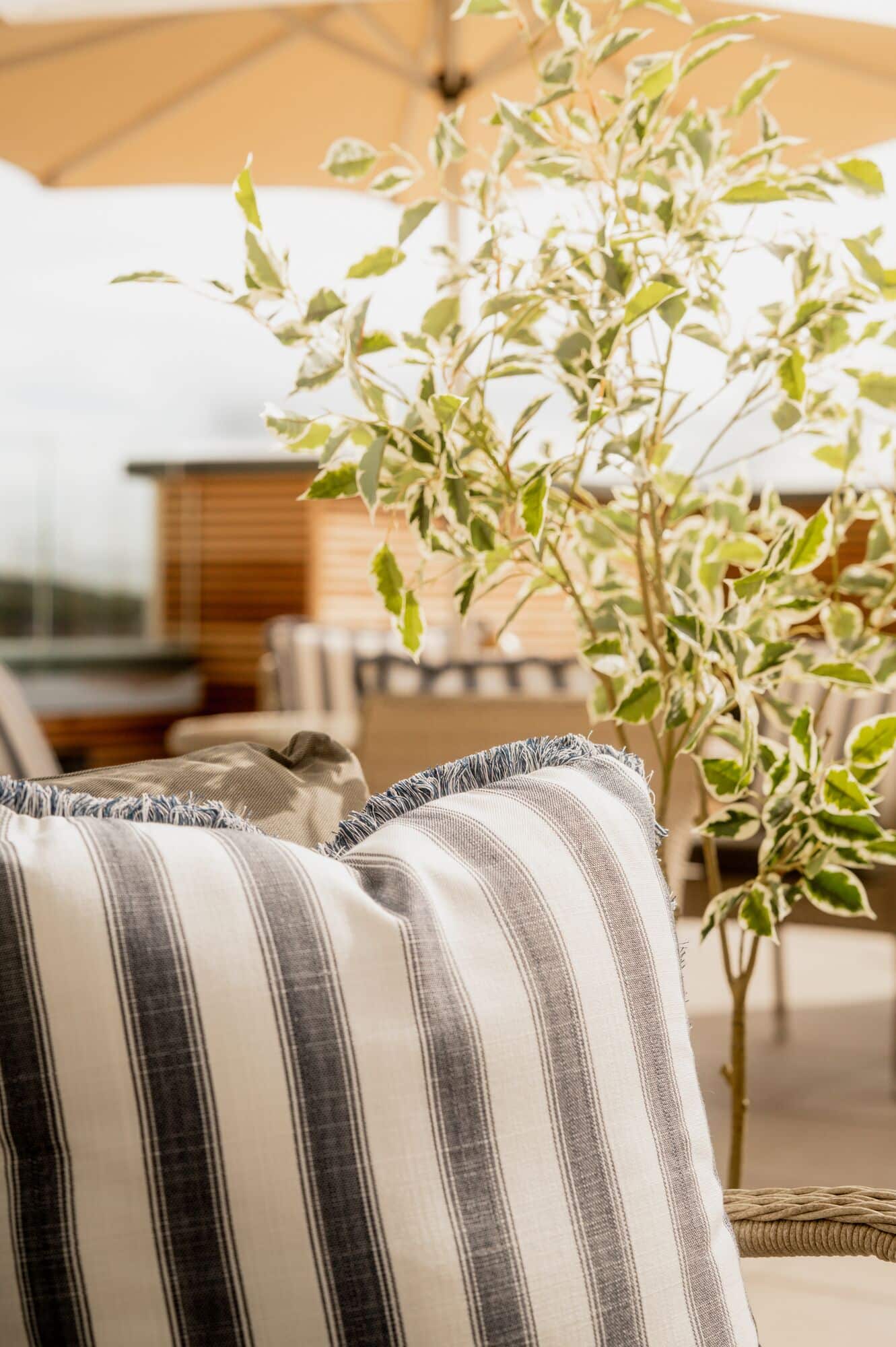 Elland Court – Terrace 3